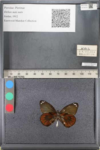 Media type: image;   Entomology 140131